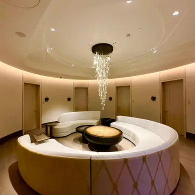 st-regis-residences-lobi_