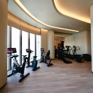 Gym at The St. Regis Belgrade.