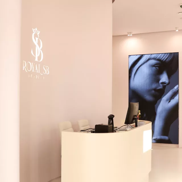 Ulaz-royal-sb-academy Ulaz u Royal SB Academy Beograda na vodi