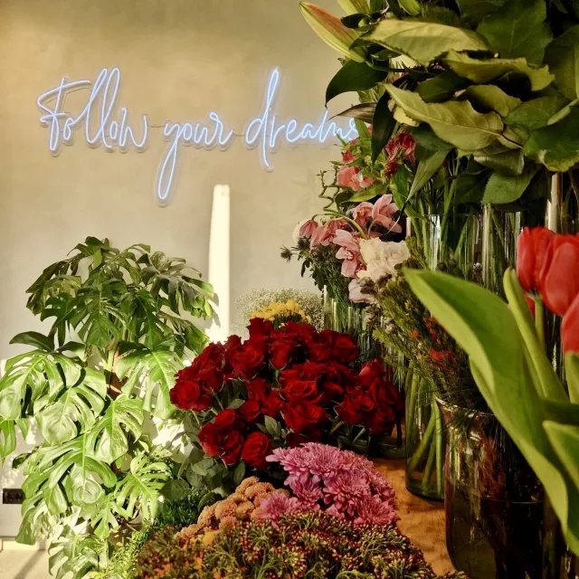 flower-dream-cvecara Flower Dream shop