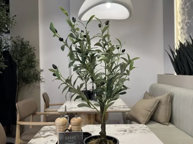 Restoran Green nudi raznovrstan meni koji zadovoljava različite ukuse