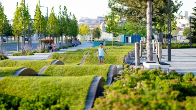 5DS_1170-min 5DS_1170-min