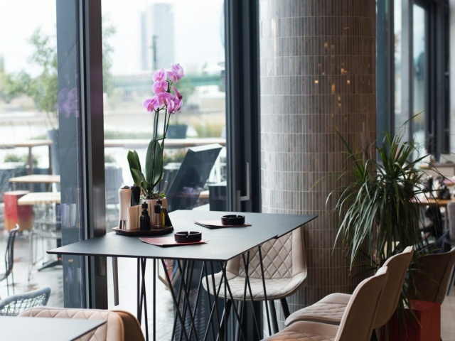 DSC_9079 Red Queen view