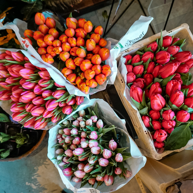 Flower-Room-3 Flower-Room-3