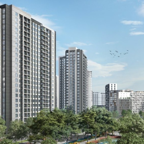 bw-verde-4@2x-852x568 bw-verde-4@2x-852x568