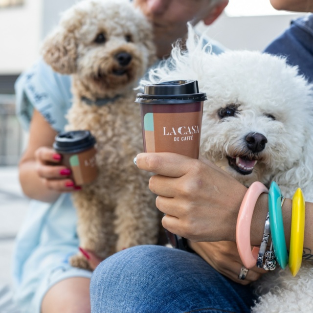 la-casa-de-caffe-08 la-casa-de-caffe-08